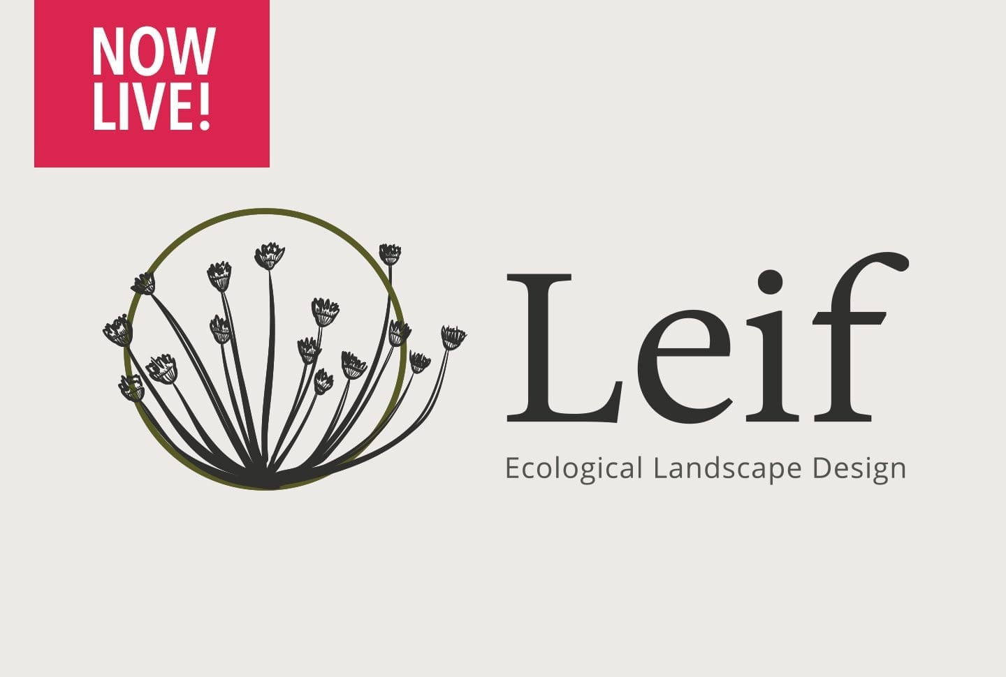 The Leif Collective Brand & Logo Design